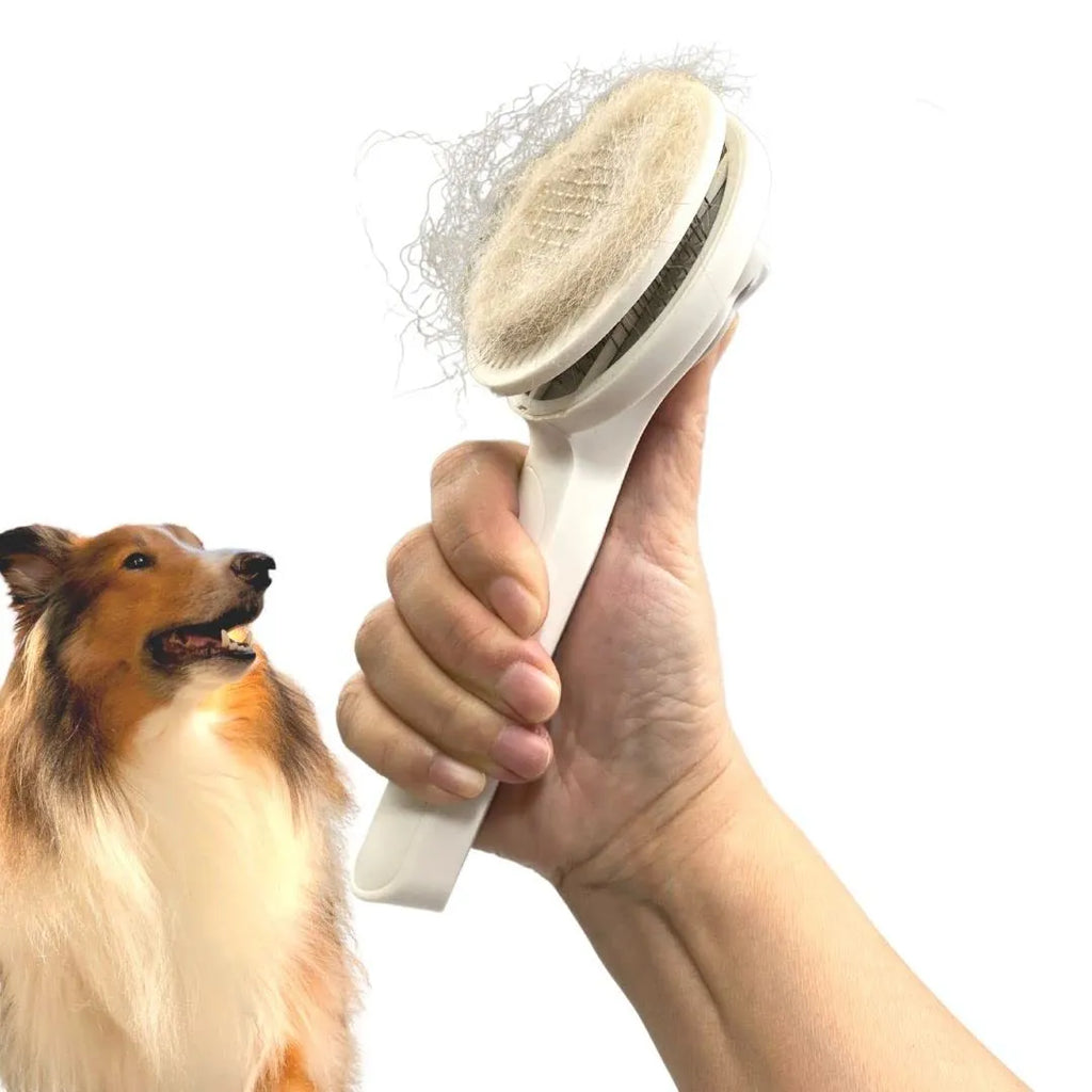 Blue self-cleaning pet grooming brush with rubber handle and stainless steel pins on a white background.