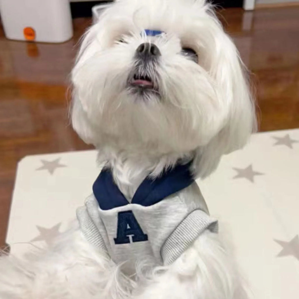 Blue and grey-white reflective letter pet hoodie for cats and dogs on mannequin