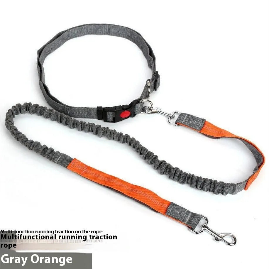 Grey and green elastic dog leash with reflective strip, showing clip and 2.5cm nylon width.