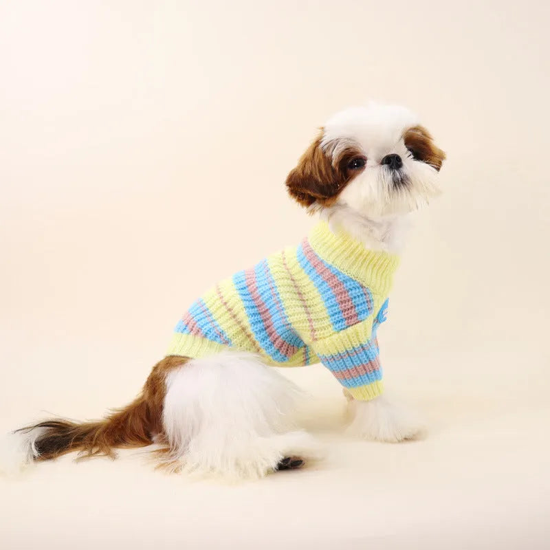 Blue and yellow striped wool dog sweater on small breed pet showing knit texture and casual style