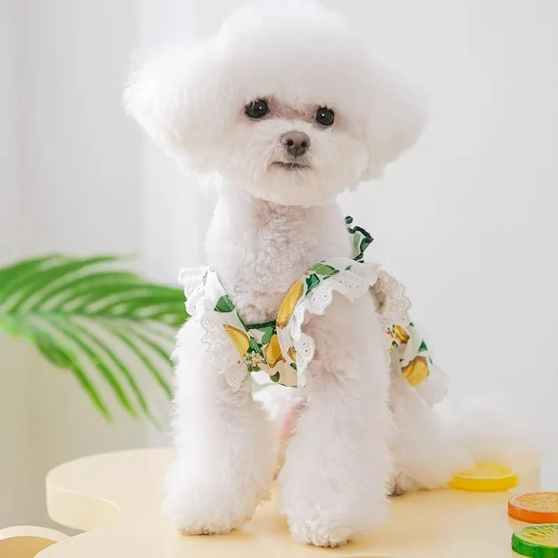 Rock yellow lemon polyester dog skirt dress on mannequin showing strap and princess design