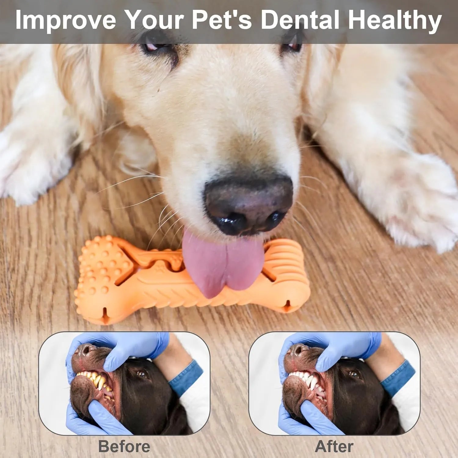 Natural rubber bone-shaped dog chew toy in blue, green, and orange colours