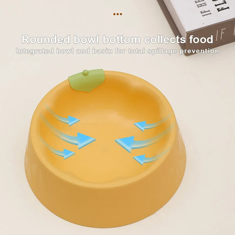 Plastic double pet bowl with flower design in blue colour showing food and water compartments