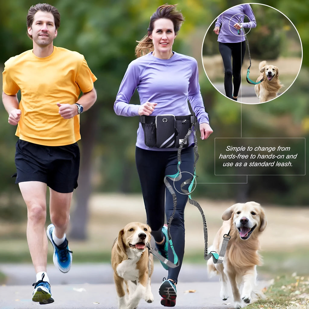Black nylon pet walking set with waist bag, leash, and collar for outdoor dog training