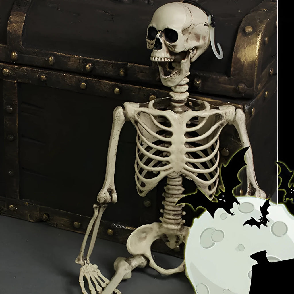 Full size 170 cm plastic skeleton prop with detailed simulated skull for anatomical display