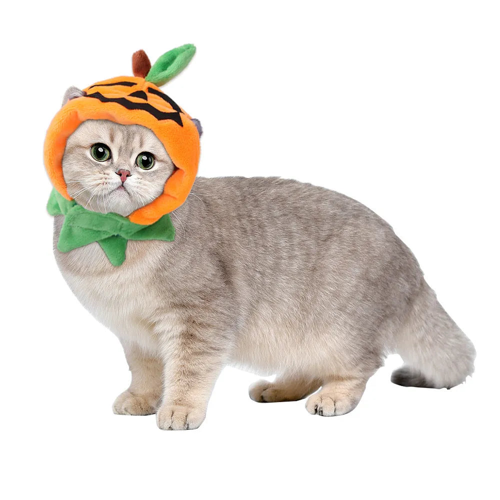 Orange plush Halloween pumpkin cloak for a dog or cat showing double-sided design