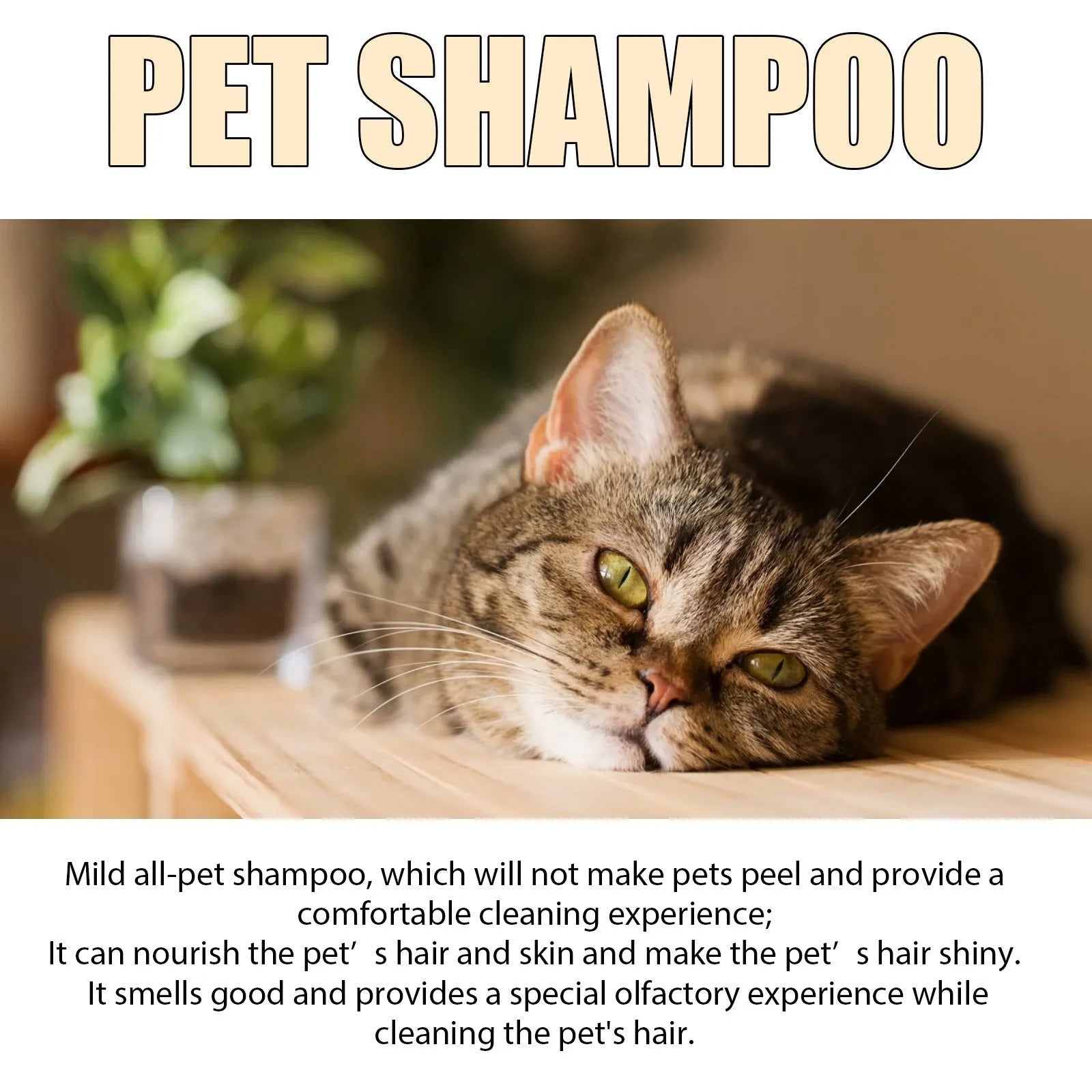 100ml and 300ml bottles of mild pet shampoo for dogs on a white background.