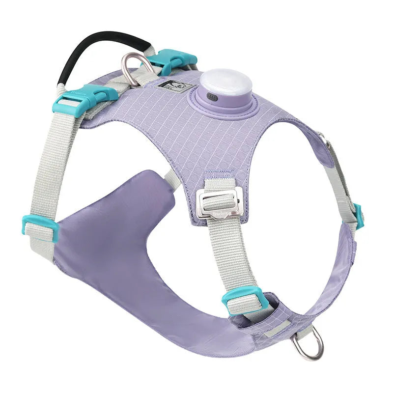 Nylon dog harness with integrated LED safety lights in multiple colour options