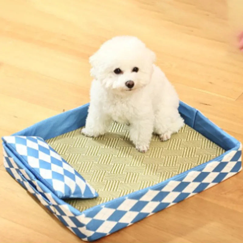 Blue woven rattan cat litter mat and bed showing texture and size scale