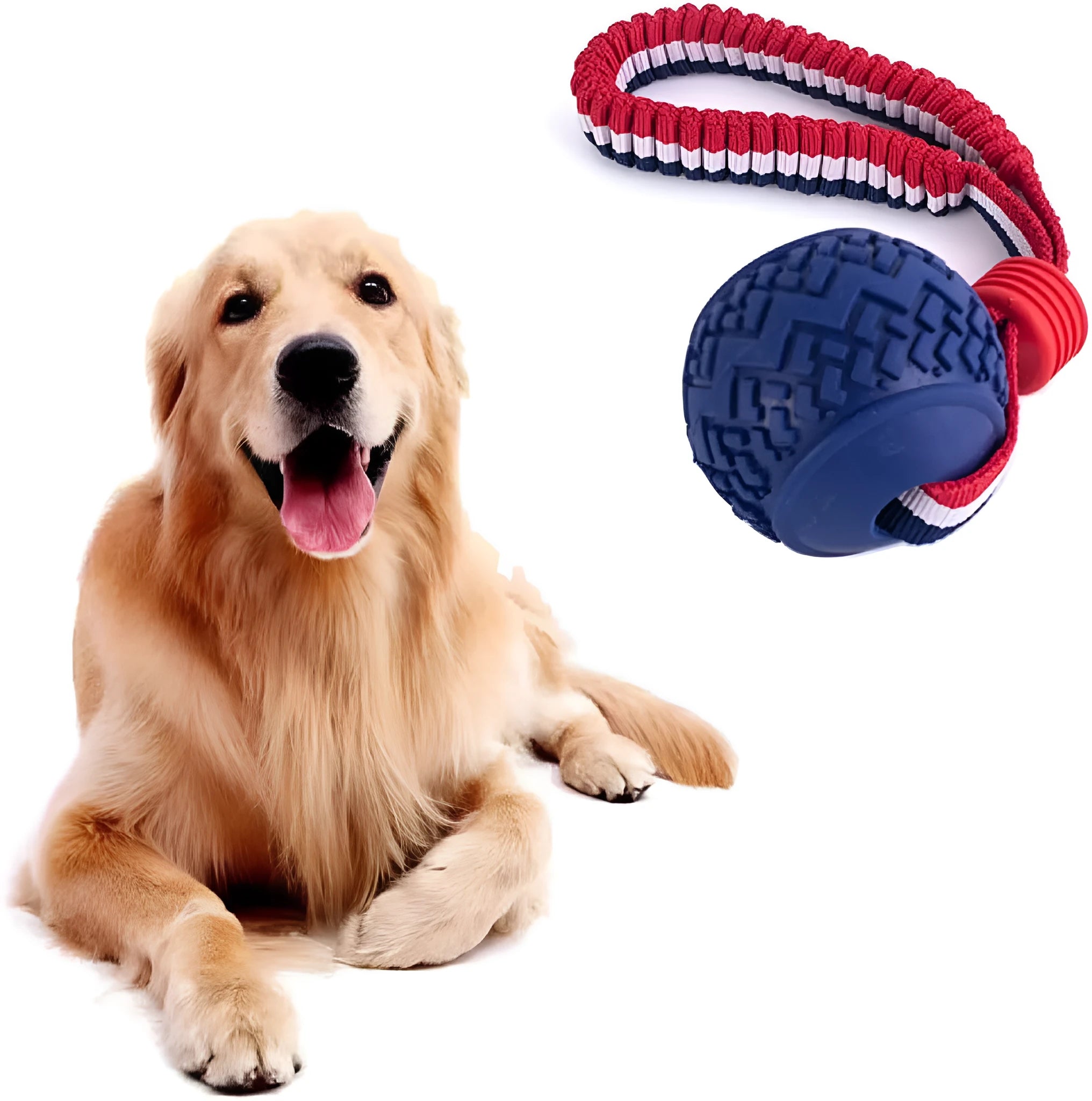 Natural rubber dog ball with rope toy in blue or red featuring textured surface for teeth cleaning