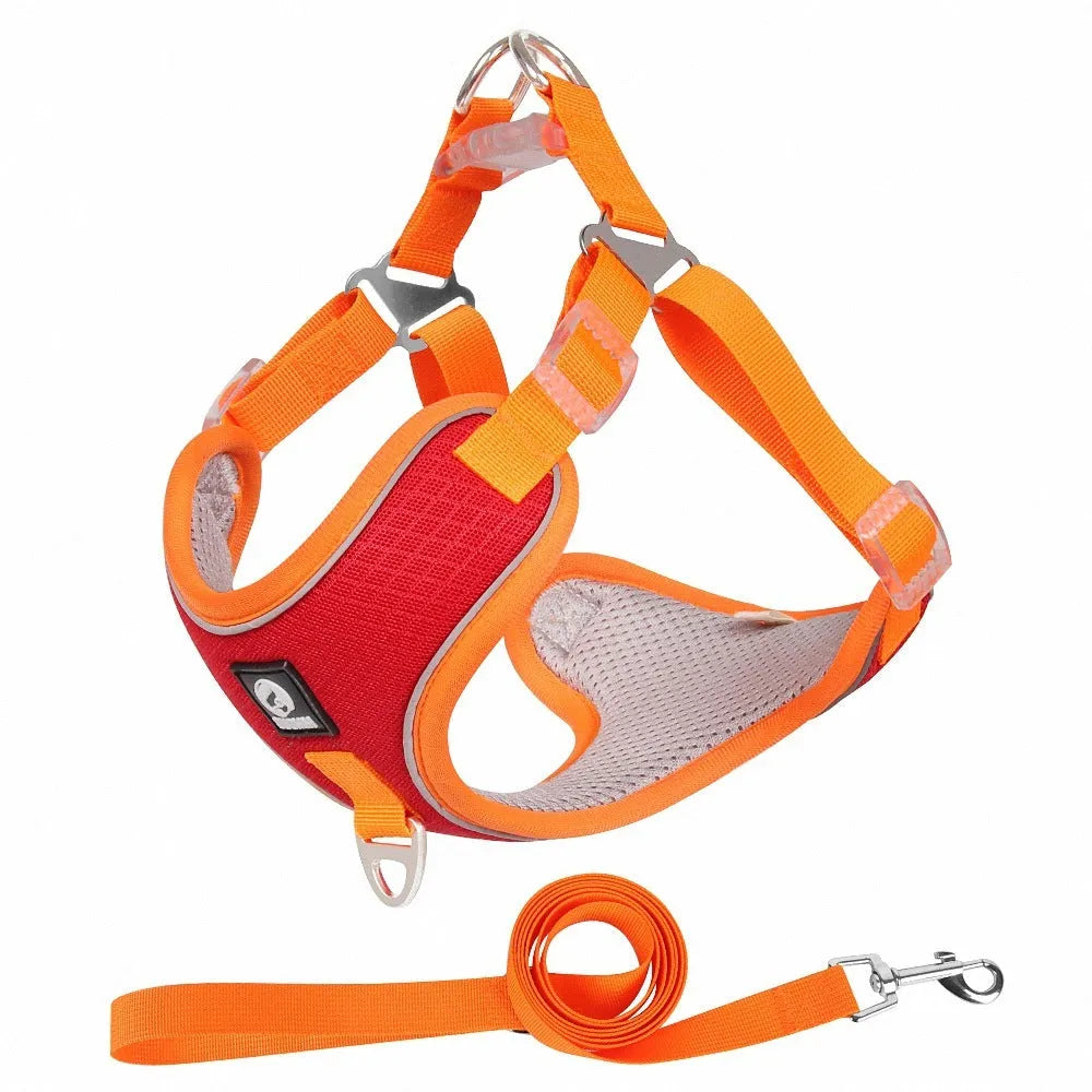 Adjustable breathable mesh dog harness with reflective piping in multiple colour options