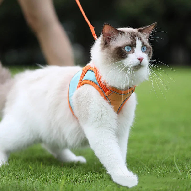 Anti escape reflective cat harness leash in suede with chest girth sizing for small to large cats