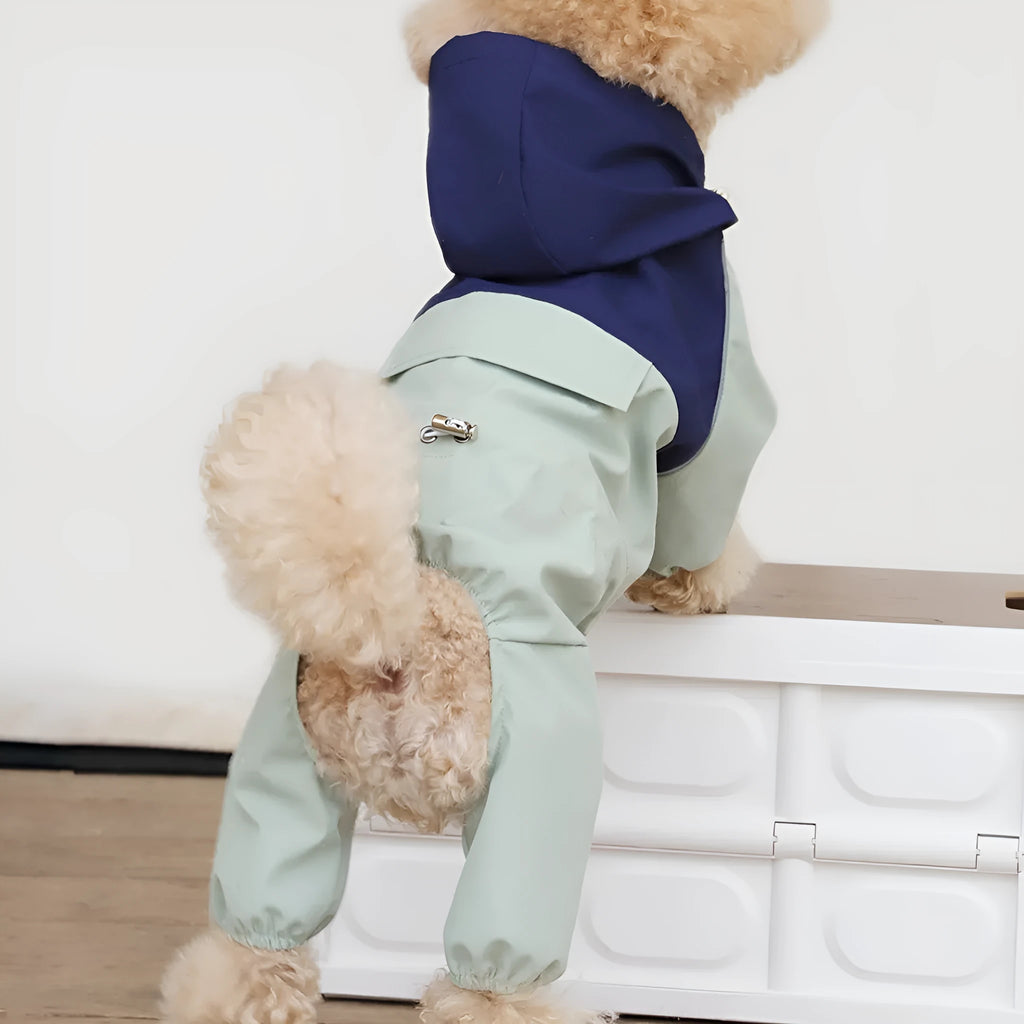A small dog wearing a khaki coloured British-style waterproof shell jacket outdoors.