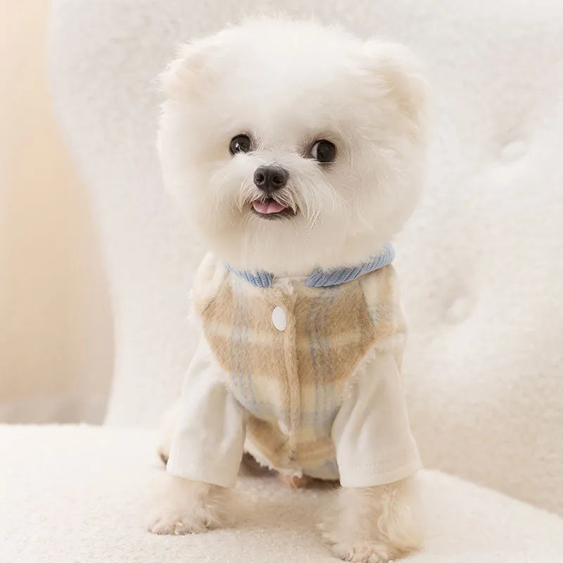 Blue corduroy dog hoodie with chessboard grid print and a traction hood.