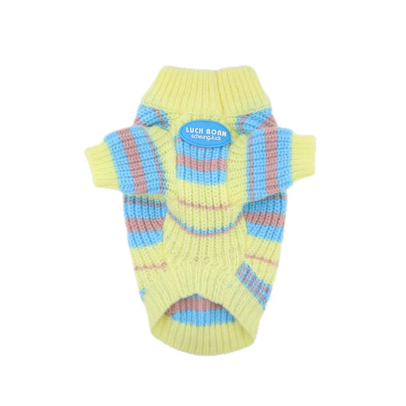 Blue and yellow striped wool dog sweater on small breed pet showing knit texture and casual style