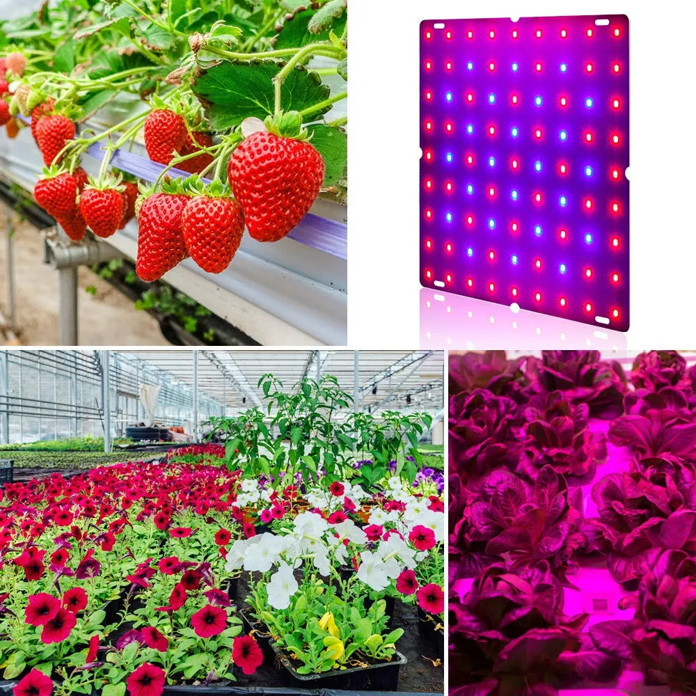 Silver aluminium LED plant light panel with multiple small beads, hanging from a hook for indoor gardening.