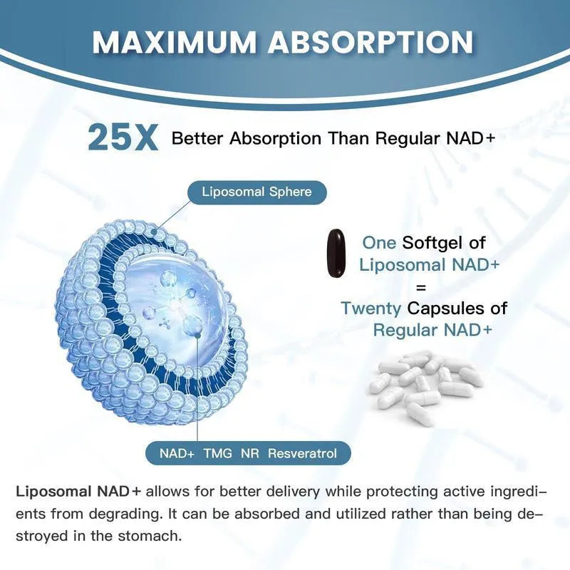 Bottle of Nicotinamide Mononucleotide NMN gel capsules supplement, 60 or 120 pieces.