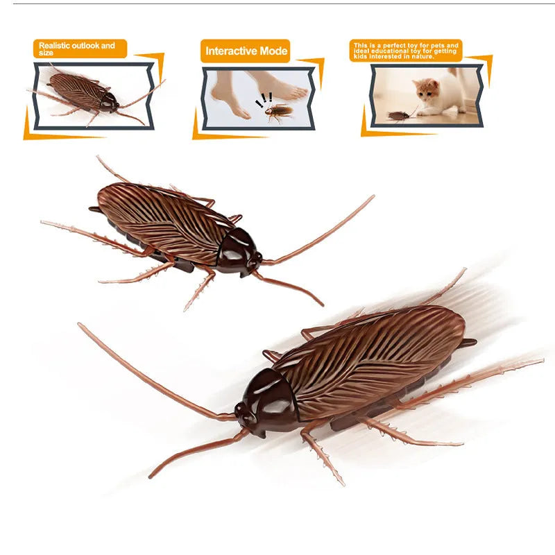 Electric vibration pet toy showing insect simulation design with walking trick mechanism