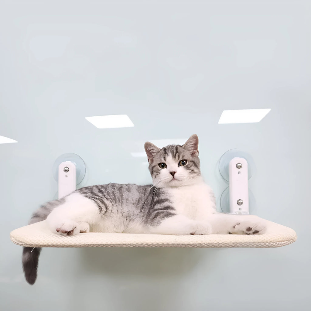 Stainless steel cat window hammock with suction cup mounting and removable cushion