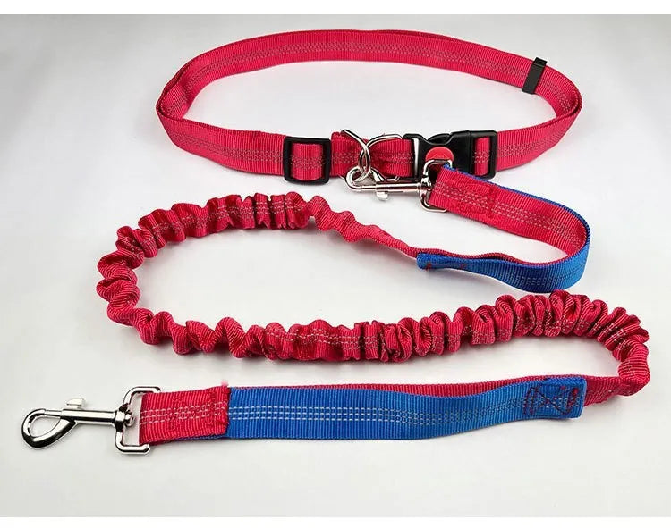 Grey and green elastic dog leash with reflective strip, showing clip and 2.5cm nylon width.