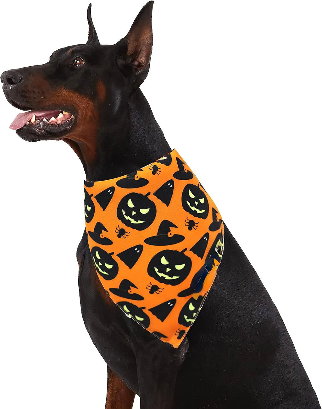 Reversible Halloween dog bandana showing pumpkin and spider web patterns in black and orange colours