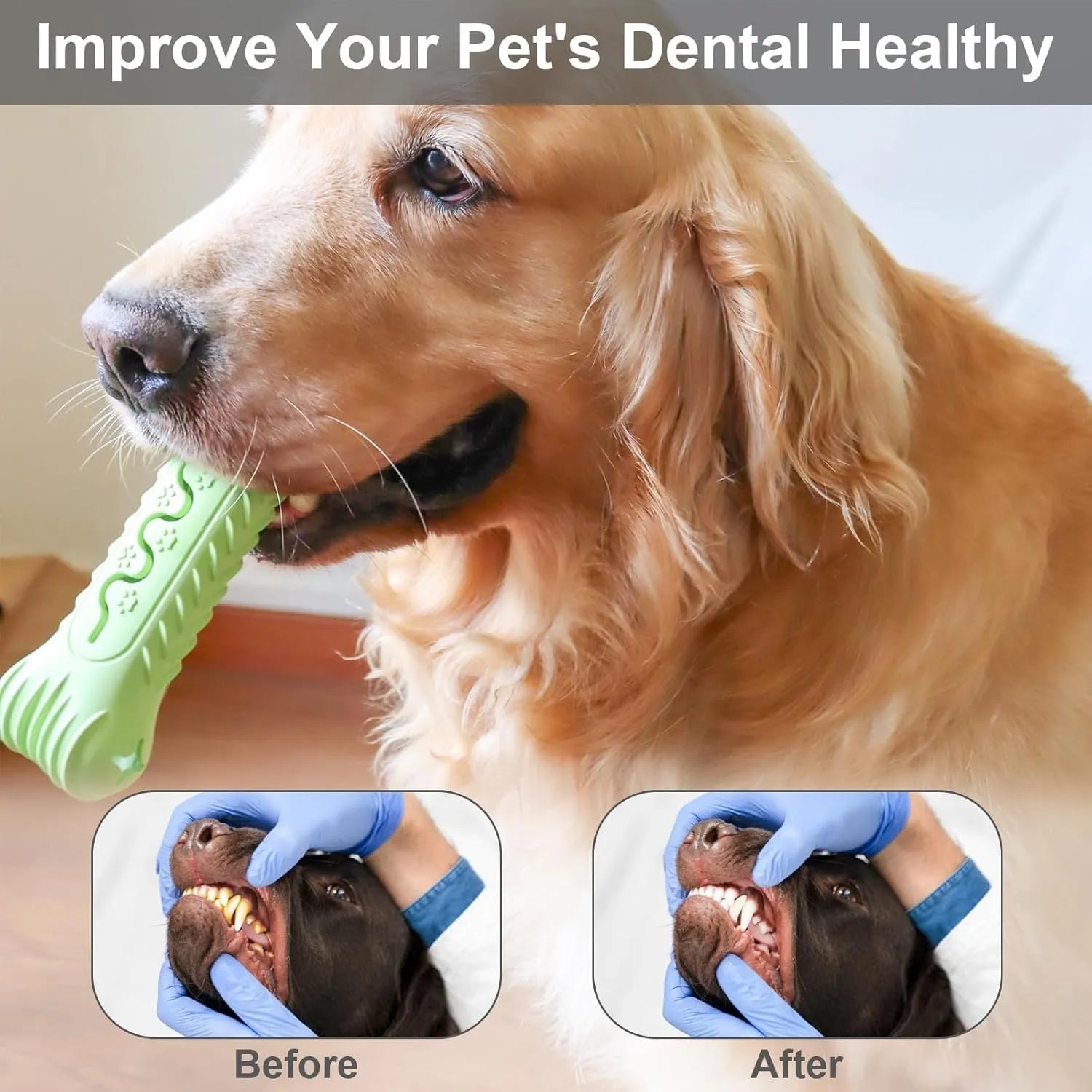 Natural rubber bone-shaped dog chew toy in blue, green, and orange colours