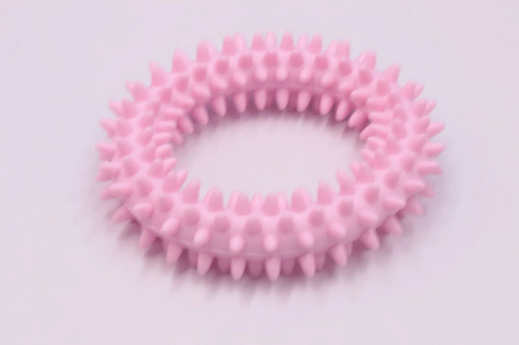 TPR spiky circle ring dog chew toy with dental cleaning nubs in blue colour