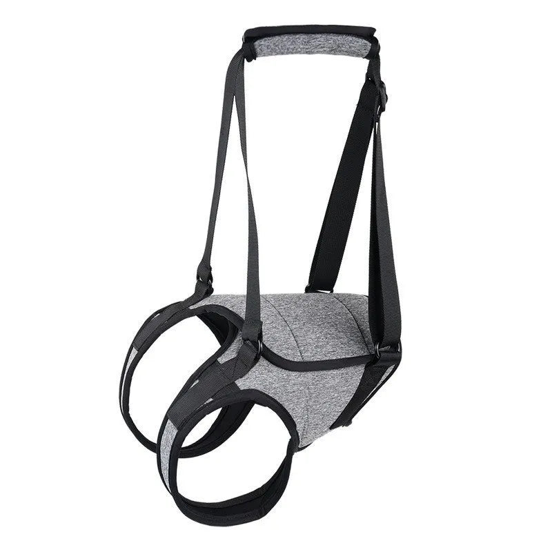 Grey neoprene recovery belt for injured dog rear leg support with adjustable fastenings