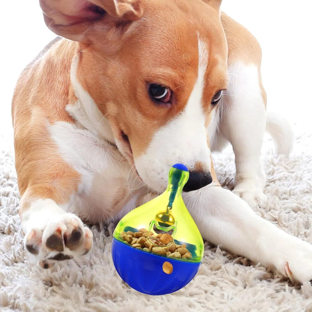 Tumbler-shaped interactive pet treat dispenser toy for dogs and cats