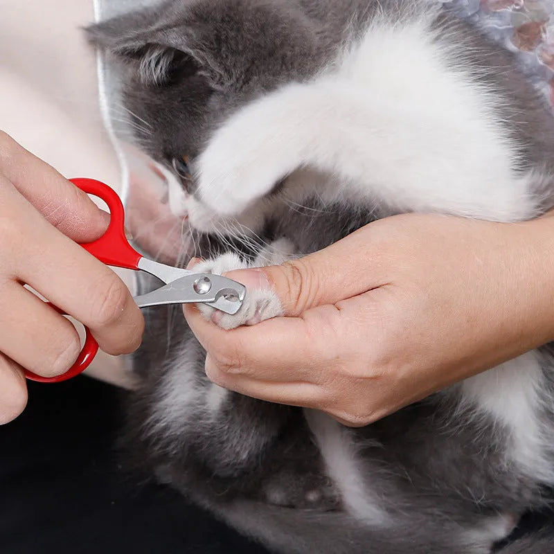 Stainless steel pet nail clippers with plastic and rubber handle for trimming cat and dog claws