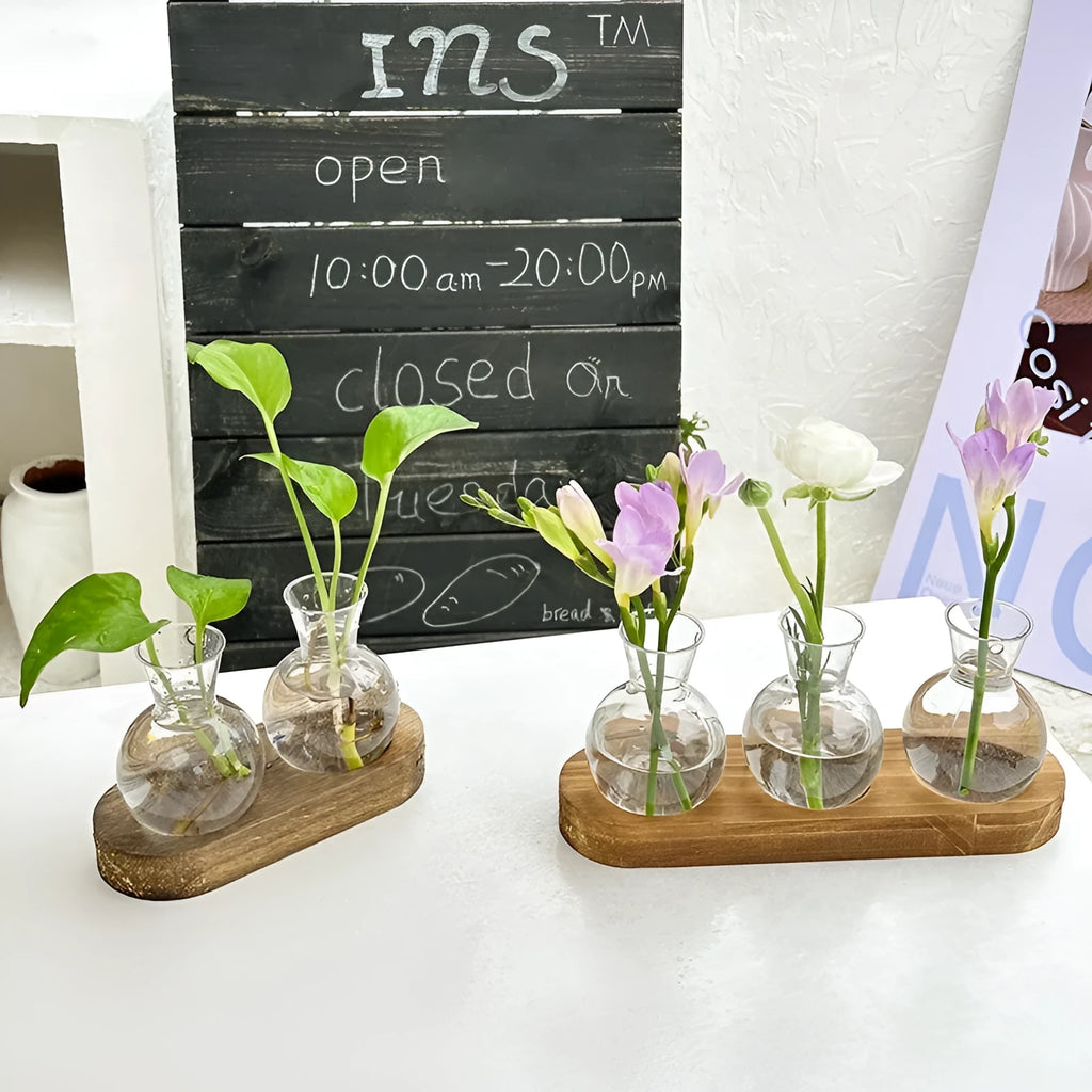 Wooden frame holding transparent glass hydroponic vases in modern home setting