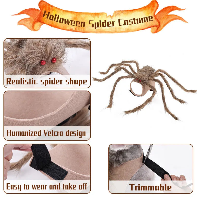 Halloween spider costume for dog or cat with eight legs and full body coverage