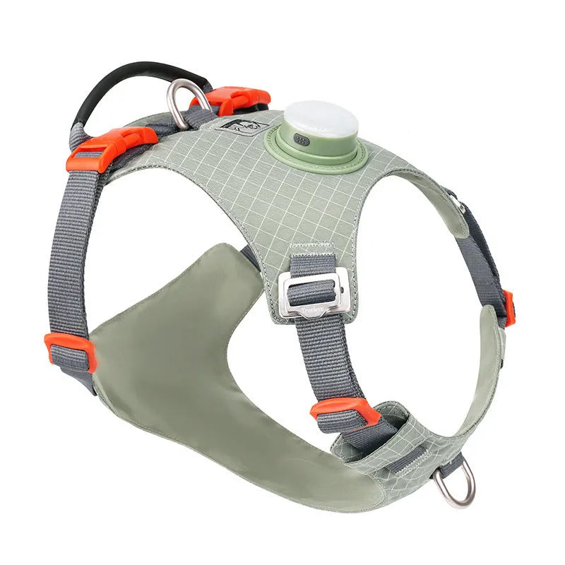 Nylon dog harness with integrated LED safety lights in multiple colour options