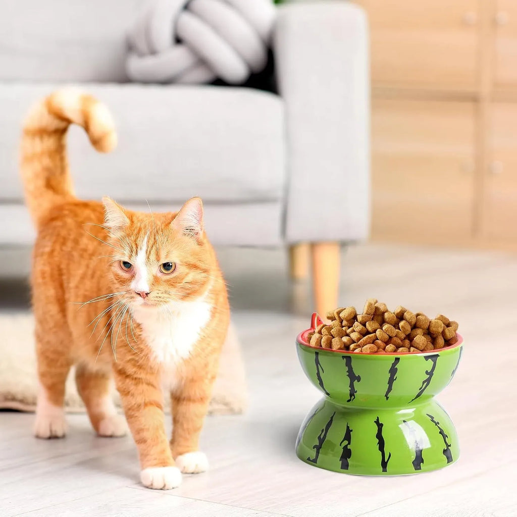 Ceramic elevated cat bowl with tilted surface in a colourful fruit pattern, showing its height and wide design.