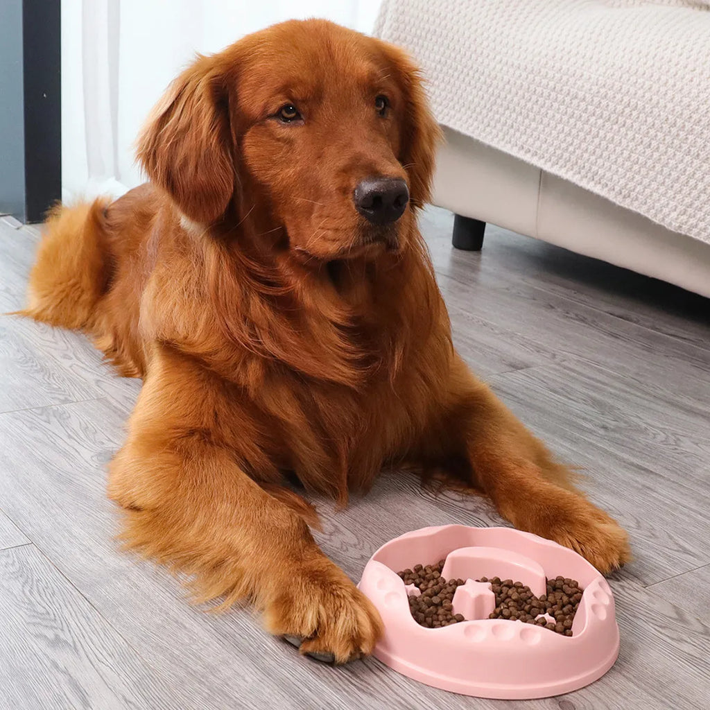 Moon Star Wings ceramic dog slow feeder bowl with raised centre ring and non-slip base in blue, grey, green, pink, or yellow.