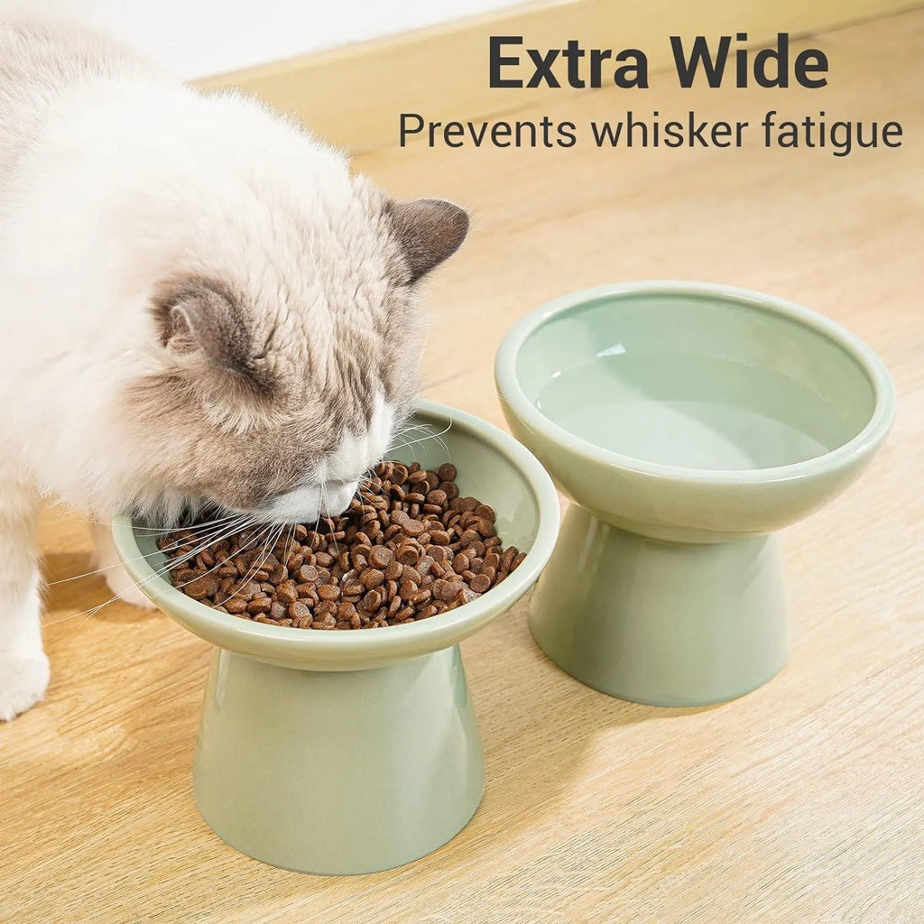 Blue ceramic elevated cat food bowl with wide shallow design next to a matching water bowl.