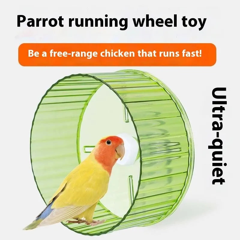 Plastic parrot running wheel exercise toy in transparent green grey orange purple colours