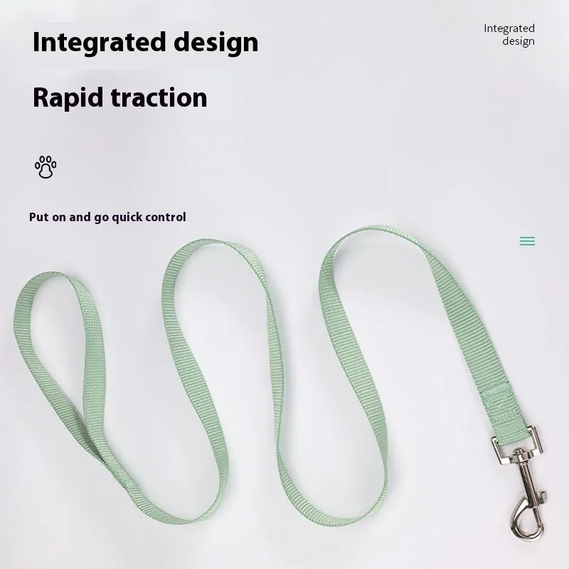 Solid colour dog lead rope in hand-holding loop design with various colour options displayed
