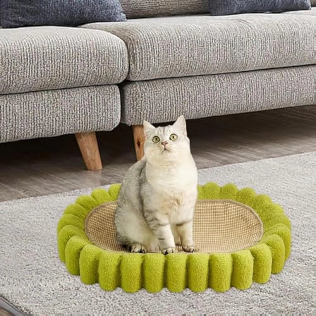 Green oval cat scratch pad and lounge bed made from sisal material