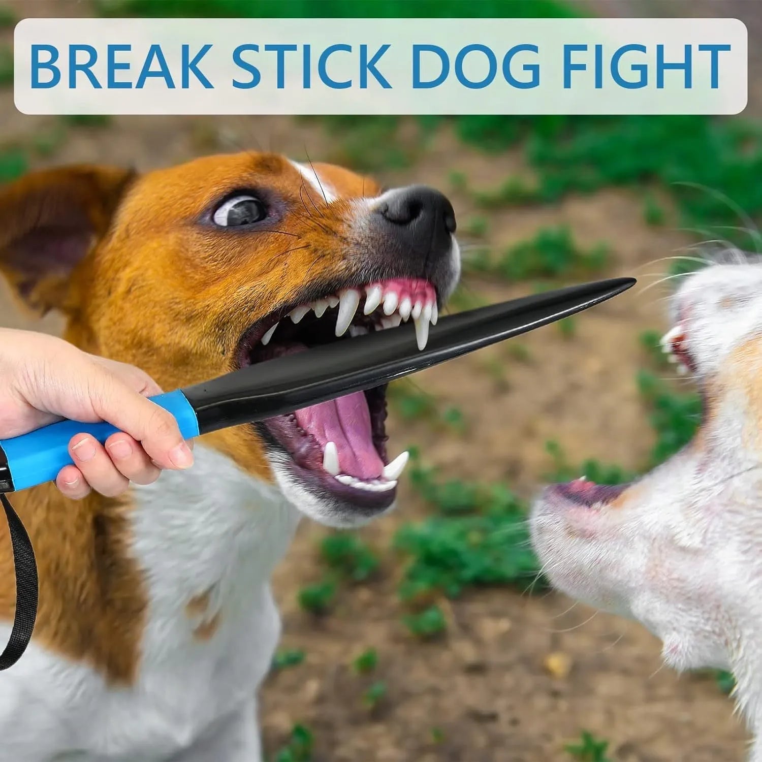 35cm long blue handled nylon dog break stick for training small and medium dogs