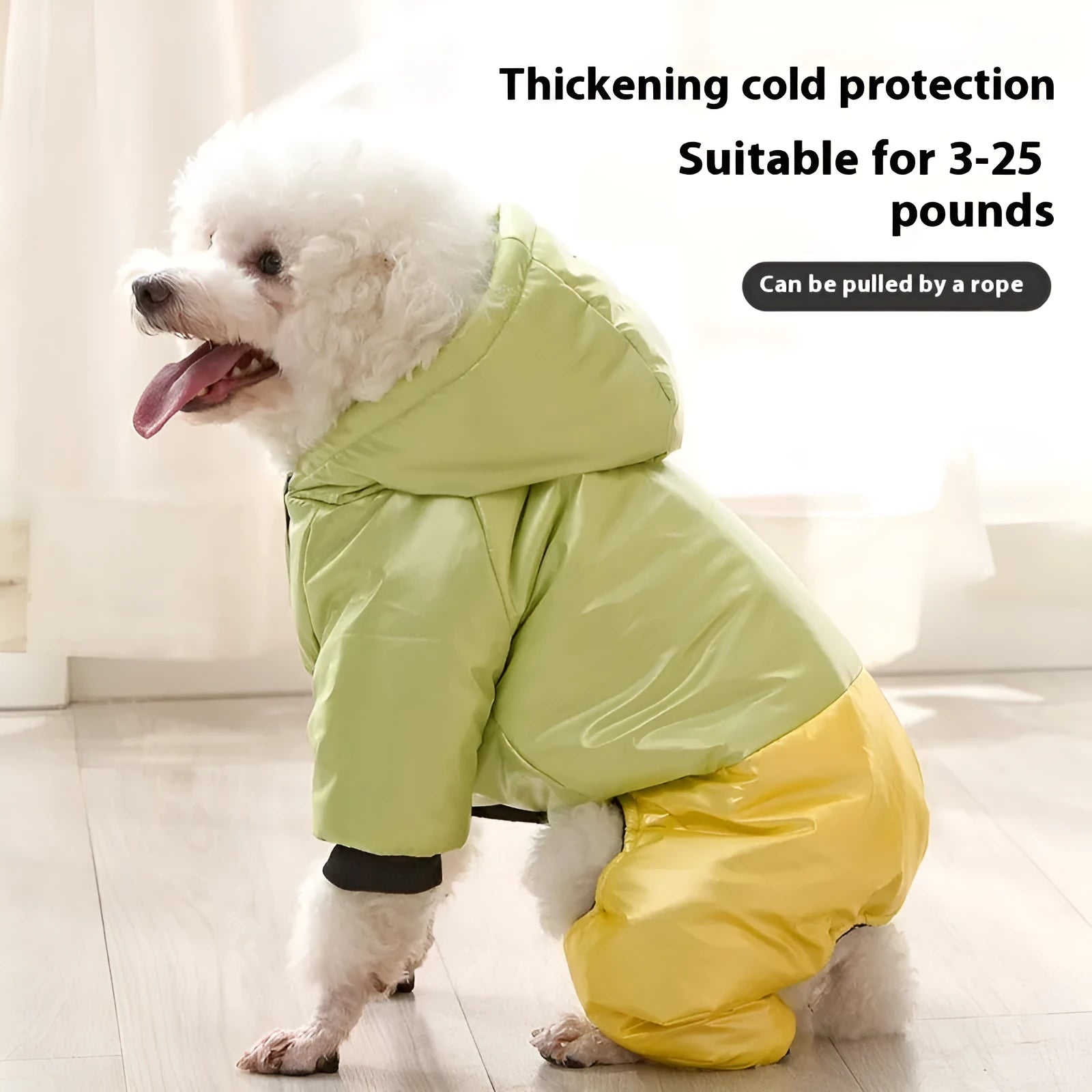 Green waterproof cotton padded dog coat with four-legged design on medium-sized dog