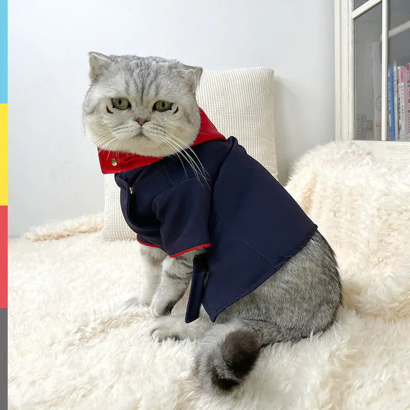 Cat and dog hoodie photo prop in Tiger Staff Yuren colour pattern for small to medium pets.