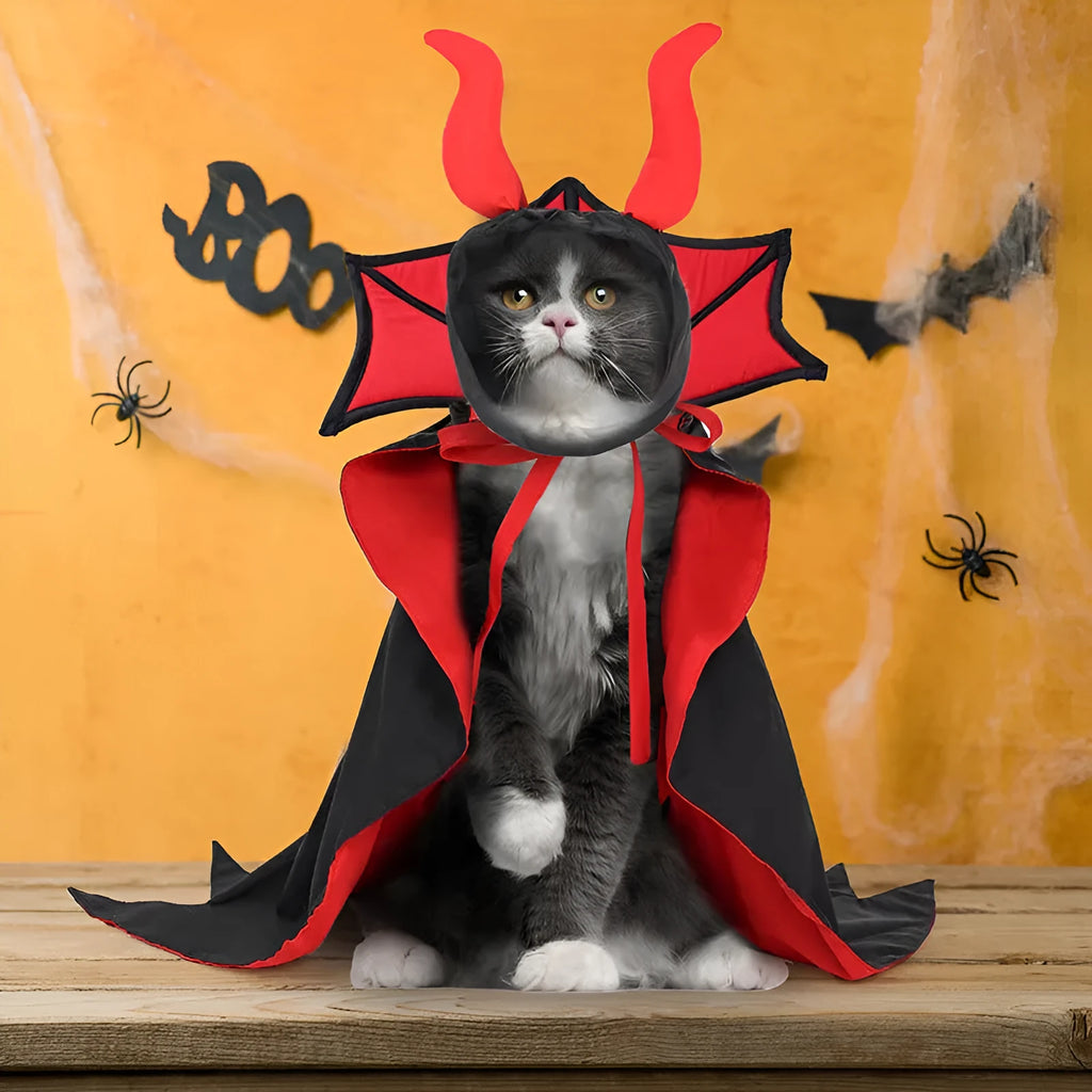 Black vampire cloak and hat costume set for a small dog or cat on Halloween.