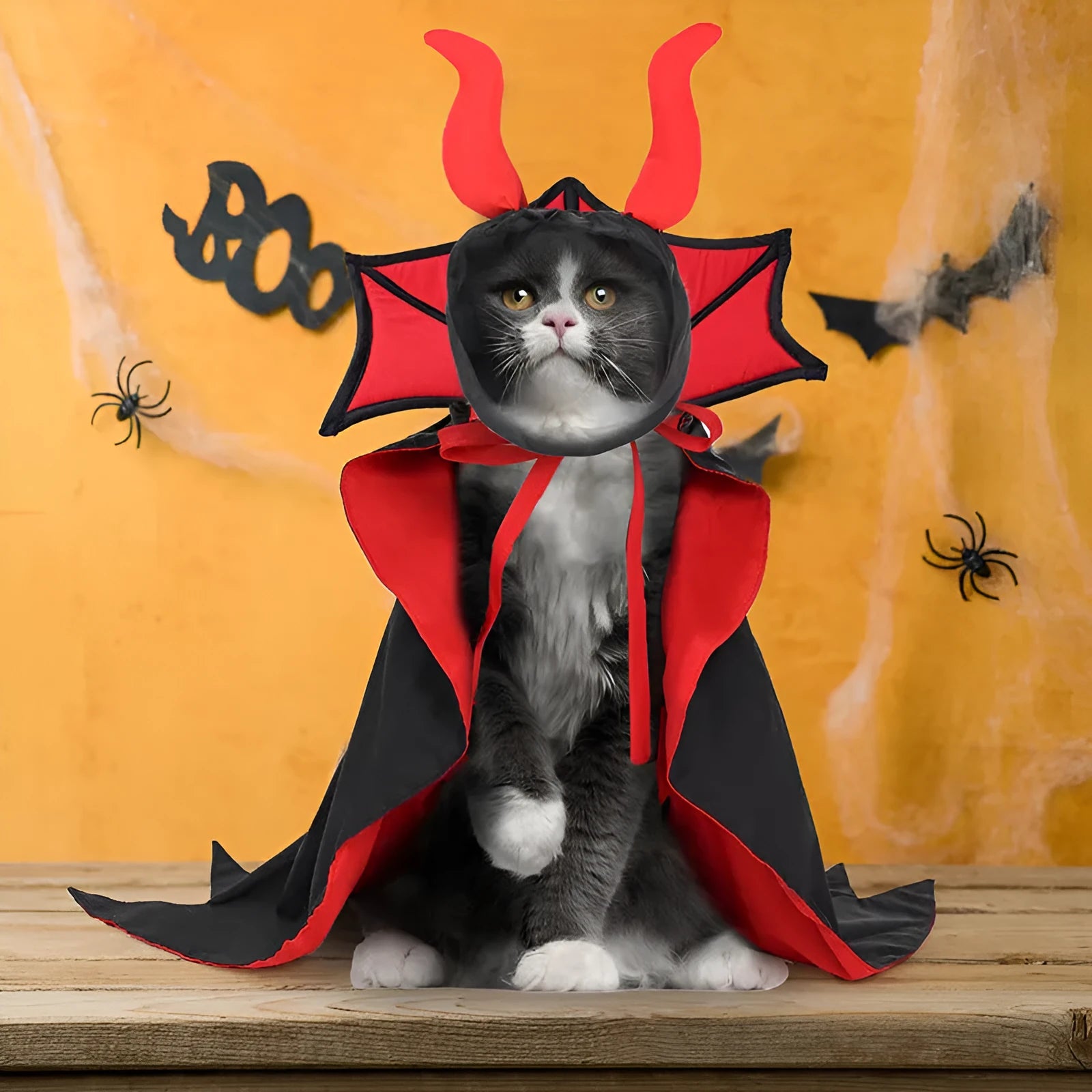 Black vampire cloak and hat costume set for a small dog or cat on Halloween.