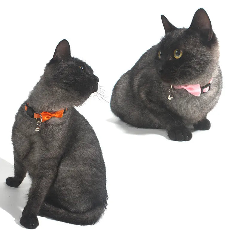 Multi-colour striped nylon bow collar for cats with bell decoration in adjustable design