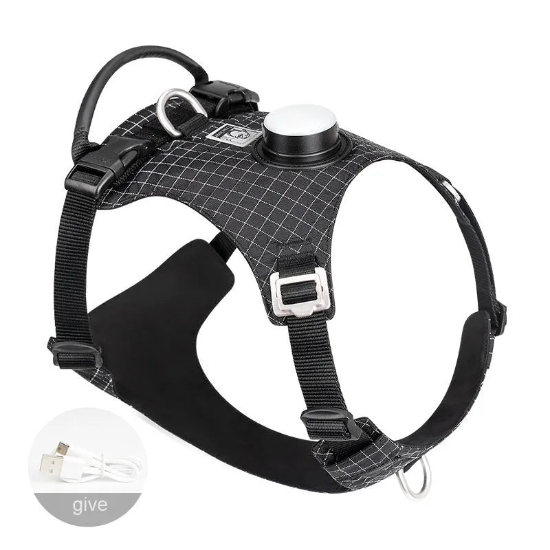 Nylon dog harness with integrated LED safety lights in multiple colour options