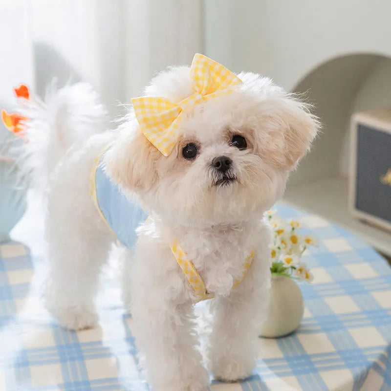 Small dog wearing heart pattern vest with bow suspenders in blue colour, showing elastic fit and decorative design