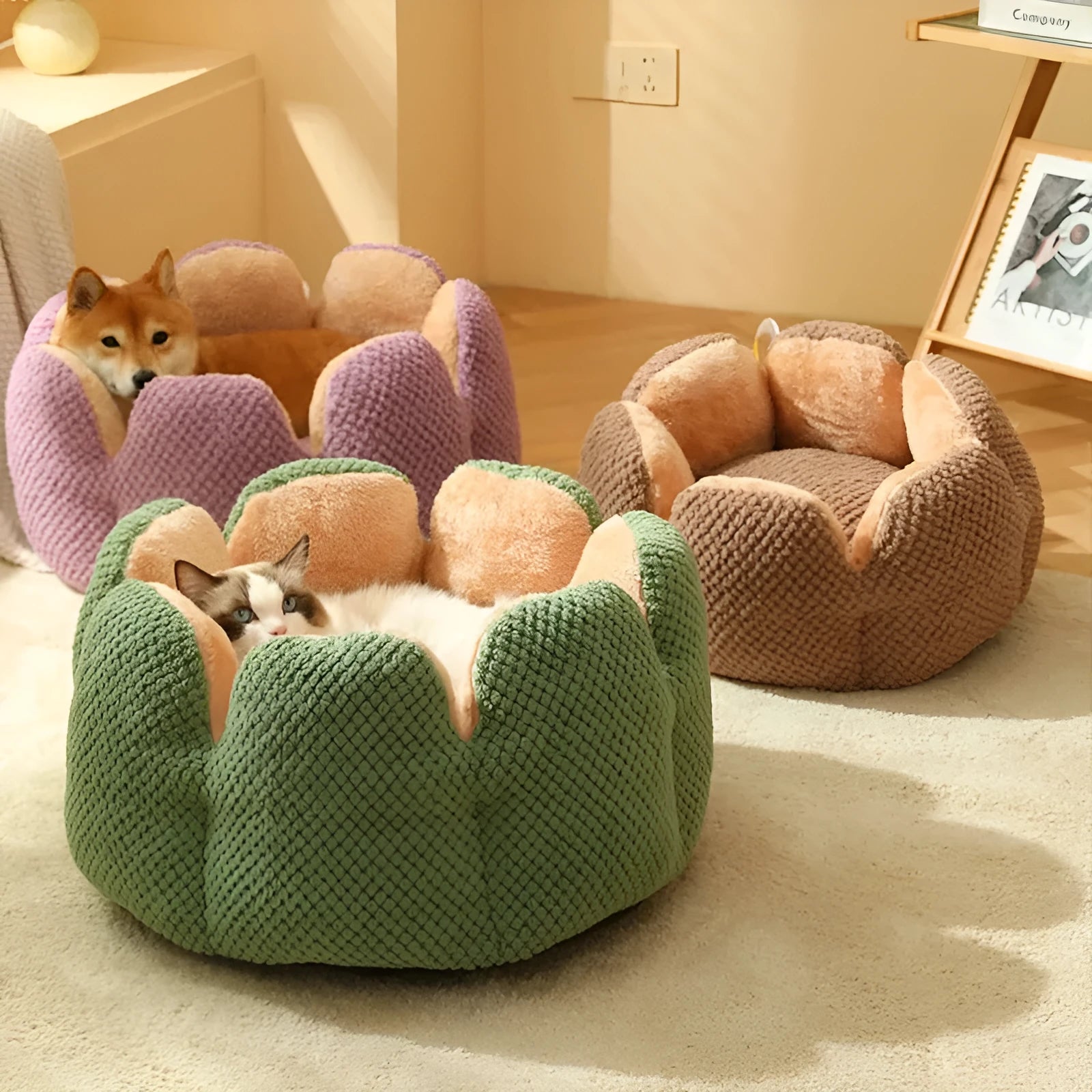 Green cactus petal shape plush pet bed for cats and dogs on hardwood floor