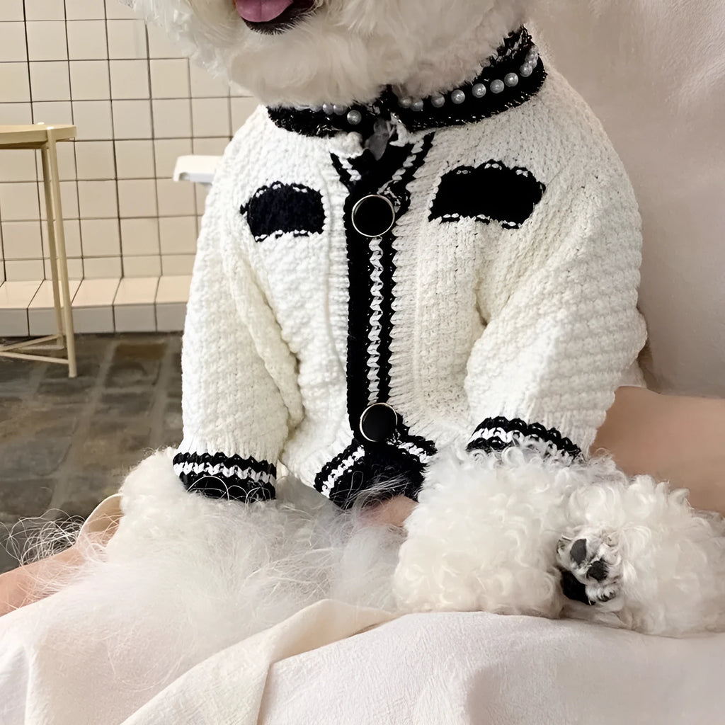 Korean style white puppy sweater with pearl collar detail on small dog, princess design pet clothing