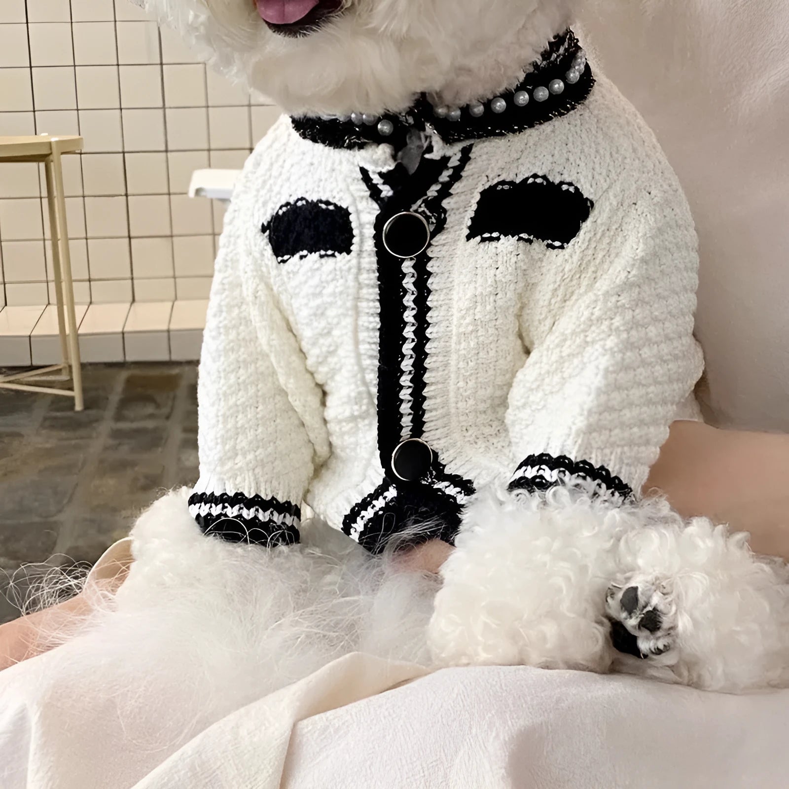 Korean style white puppy sweater with pearl collar detail on small dog, princess design pet clothing